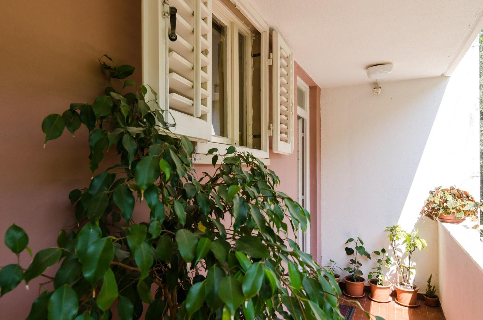 Rooms Jelka Dubrovnik Szoba fotó